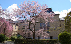 京都府庁旧本館